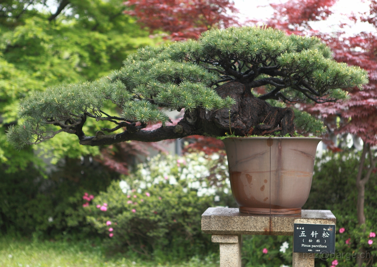 EOS 5D Mark II16_04_20135067.JPG